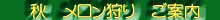 秋季　メロン狩り　9/初～10/下