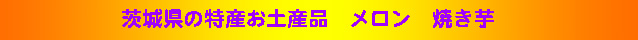 茨城県の特産品メロン　焼きいも